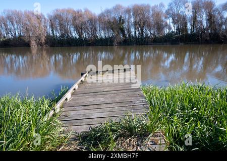 Quai flottant abandonné sur Manawatu River Loop, Foxton, Manawatu, Île du Nord, Nouvelle-Zélande Banque D'Images