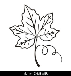 Contour de feuille de raisin sur fond blanc. . Illustration vectorielle Illustration de Vecteur