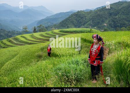 Femmes Dao rouges ethniques debout dans les rizières en terrasses dans le district de Hoang Su Phu de la province de Ha Giang, au nord du Vietnam Banque D'Images