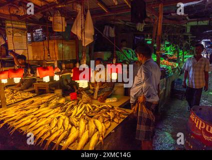 Lampes au-dessus de poissons frais dans le marché aux poissons, Dhaka Division, Dhaka, Bangladesh Banque D'Images