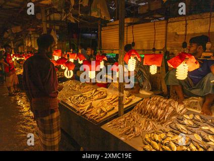 Lampes au-dessus de poissons frais dans le marché aux poissons, Dhaka Division, Dhaka, Bangladesh Banque D'Images