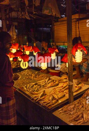 Lampes au-dessus de poissons frais dans le marché aux poissons, Dhaka Division, Dhaka, Bangladesh Banque D'Images