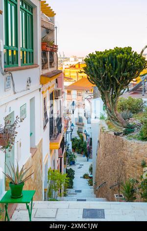 Rue étroite avec des marches, des maisons blanches et des plantes en pot bleues dans l'ancien quartier Santa Cruz dans la vieille ville d'Alicante sur la colline. Costa Blanca Banque D'Images