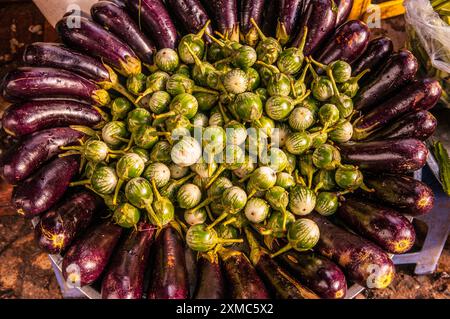 Aubergine circulaire affichage à un stand de légumes en plein air au marché russe, Phnom Penh, Cambodge. crédit : Kraig Lieb Banque D'Images