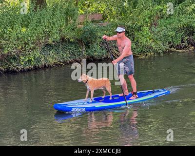 A281, Guildford. 27 juillet 2024. Un bel après-midi ensoleillé à travers les Home Counties. Un paddleboarder emmène son chien faire un tour sur la rivière Wey à Guildford dans le Surrey. Crédit : james jagger/Alamy Live News Banque D'Images