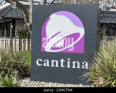 États-Unis. 11 mars 2024. Signalisation pour le restaurant Taco Bell Cantina avec logo stylisé à tacos dans un cadre paysager, Danville, Californie, 11 mars 2024. (Photo Smith Collection/Gado/Sipa USA) crédit : Sipa USA/Alamy Live News Banque D'Images