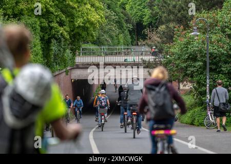 Métro sur la piste cyclable Promenade, bordée d'arbres, sans voiture, environ 4,5 km de long périphérique autour du centre-ville de Muenster, au nord Banque D'Images