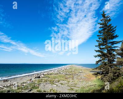 Vue panoramique de Dungeness Spit, la plus longue broche de sable des États-Unis, par une journée ensoleillée - péninsule olympique, état de Washington Banque D'Images