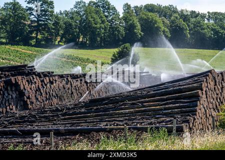 Stockage de bois humide d'une scierie, le bois qui est stocké plus longtemps est saupoudré d'eau de sorte que les bûches absorbent l'eau et éloignent ainsi les parasites et le WO Banque D'Images