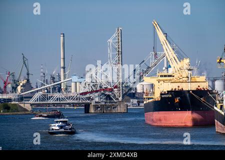 Le port d'Anvers, sur l'Escaut, est le deuxième plus grand port maritime d'Europe, exploitant de fret au terminal de vrac d'Anvers, en Flandre, en Belgique Banque D'Images