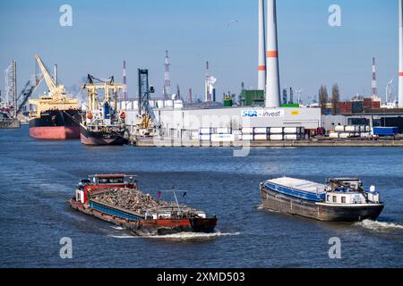 Le port d'Anvers, sur l'Escaut, est le deuxième plus grand port maritime d'Europe, exploitant de fret au terminal de vrac d'Anvers, en Flandre, en Belgique Banque D'Images