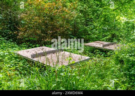 Lieux perdus, vieille table de ping-pong sur une aire de jeux abandonnée et fermée, envahie et entourée de plantes, Essen, Rhénanie du Nord-Westphalie, Allemagne Banque D'Images