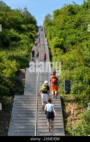 Montée par les escaliers jusqu'au slagheap à Beckstrasse, Tetraeder slagheap, randonneur, marcheur, Bottrop, Allemagne Banque D'Images