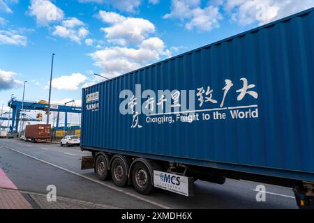 Les conteneurs arrivent en train au terminal intermodal de Logport, dit, Duisburg, qui fait partie de la nouvelle route de la soie, de la Chine à Duisburg-Rheinhausen, au nord Banque D'Images