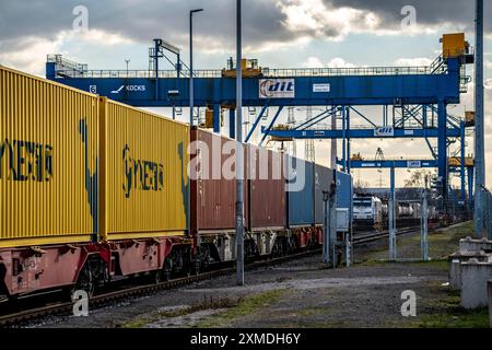 Les conteneurs arrivent en train au terminal intermodal de Logport, dit, Duisburg, qui fait partie de la nouvelle route de la soie, de la Chine à Duisburg-Rheinhausen, au nord Banque D'Images