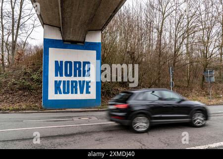 Peintures murales, peintures de fans du club de Bundesliga FC Schalke 04, au stade de Schalke, Veltins Arena, tunnel routier, à Gelsenkirchen, Nord Banque D'Images