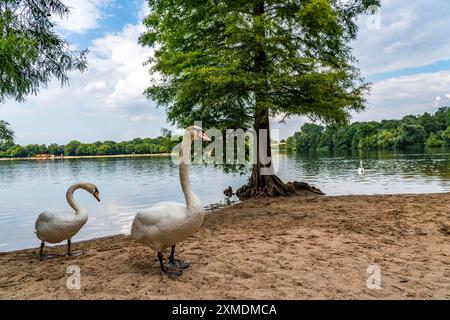 Le Sechs-Seen-Platte, une zone de loisirs locale dans le sud de Duisburg, près du quartier Wedau, 6 anciennes gravières, Wolfssee, Nord Banque D'Images