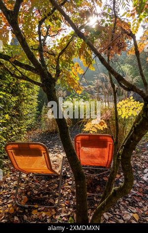 Jardins modèles à Grugapark, automne, conception horticole de différents styles de jardinage Essen, Rhénanie du Nord-Westphalie, Allemagne Banque D'Images