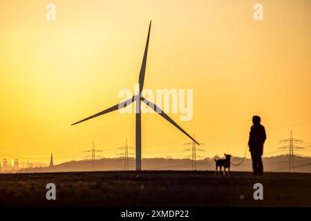 Schurenbach spoil tip, à Essen, Emschergenossenschaft éolienne, vue à l'ouest, Essen, Rhénanie du Nord-Westphalie, Allemagne Banque D'Images