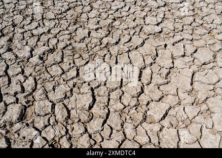 Rhin près de Duisburg, eau extrêmement basse, niveau du Rhin à 168 cm, en baisse, après la longue sécheresse la rive droite du Rhin est en baisse, près Banque D'Images