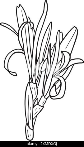 Rosidy a détaillé Floral Lineart 13 Illustration de Vecteur
