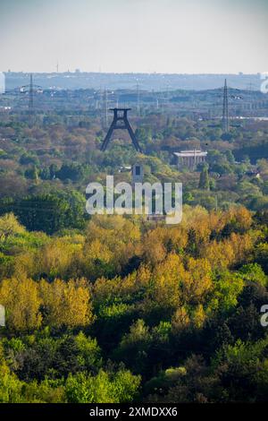 Vue de la pointe du déblai Hoheward vers le sud en direction de Wanne-Eickel, zones boisées, tête de l'ancienne mine Pluton 2/3/7, Nord Banque D'Images