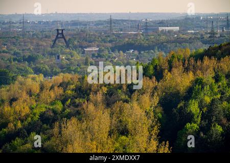 Vue de la pointe du déblai Hoheward vers le sud en direction de Wanne-Eickel, zones boisées, tête de l'ancienne mine Pluton 2/3/7, Nord Banque D'Images