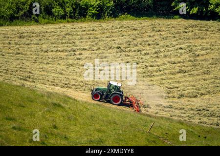 Agriculteur tournant du foin fraîchement coupé avec un tracteur, Velbert, Rhénanie du Nord-Westphalie, Allemagne Banque D'Images