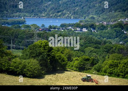 Lac Baldeney à Essen, vue à l'ouest, sur le district de Kupferdreh, depuis Velbert, fermier tournant du foin fraîchement coupé, Rhénanie du Nord-Westphalie Banque D'Images