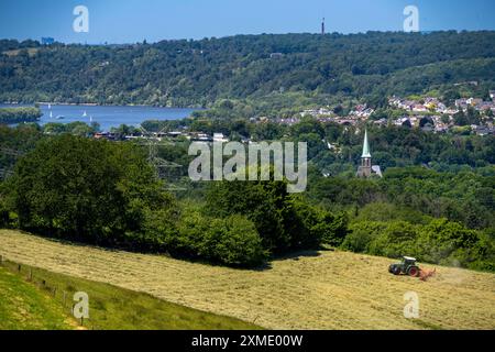 Lac Baldeney à Essen, vue à l'ouest, sur le district de Kupferdreh, depuis Velbert, fermier tournant du foin fraîchement coupé, Rhénanie du Nord-Westphalie Banque D'Images