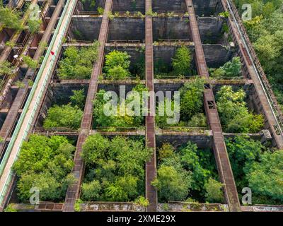 Duisburg-Nord Landscape Park, ancienne aciérie Thyssen, fermée en 1985, depuis lors des arbres poussent dans les anciens bunkers Moeller, minerai Banque D'Images