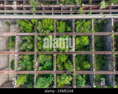 Duisburg-Nord Landscape Park, ancienne aciérie Thyssen, fermée en 1985, depuis lors des arbres poussent dans les anciens bunkers Moeller, minerai Banque D'Images