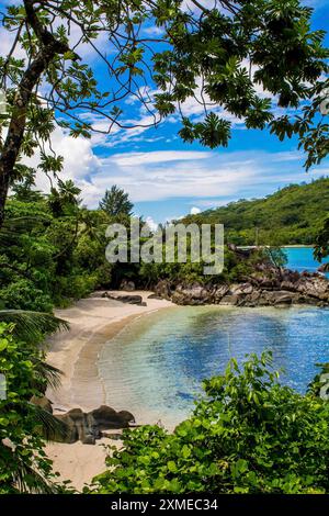 Plage isolée Port Launay Marine Park, Mahé, République des Seychelles, Océan Indien Banque D'Images