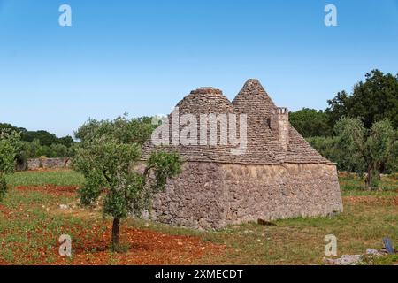 Un trullo indépendant, maison ronde avec un toit en pierre, sur le bord de la ville italienne méridionale d'Alberobello. Alberobello, Pouilles, Italie du Sud Banque D'Images