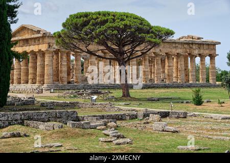 Site archéologique et ruines de Paestum, site du patrimoine mondial de l'UNESCO, dans la province de Salerne. Paestum, Capaccio, Campanie, Italie, Europe du Sud Banque D'Images