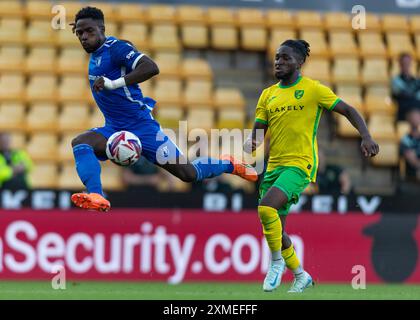 Norwich, Royaume-Uni, 26 juillet 2024. Jonathan Rowe de Norwich City, lors de Norwich vs FC Magdeburg Pre-Season Friendly, Carrow Road, Norwich, Royaume-Uni, 26.07.2024 Banque D'Images