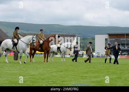 Des personnes participant à des épreuves équestres au Royal Welsh Show, Builth Wells, juillet 2024 Banque D'Images