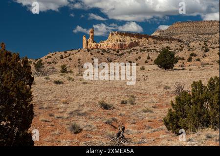 Chimney Rock au Ghost Ranch du Nouveau-Mexique, vu de la piste jusqu'à elle. Banque D'Images