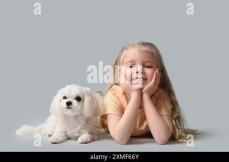 Mignonne petite fille avec chien maltais couché sur fond gris Banque D'Images