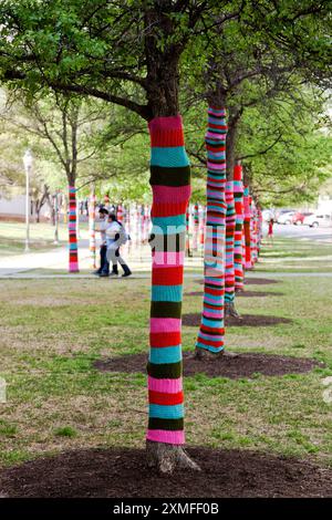 Knit Bombed Trees, Larry & Mary Ann Faulkner, Blanton Museum of Art, Students Walking, University of Texas, Austin, Texas, États-Unis. Banque D'Images