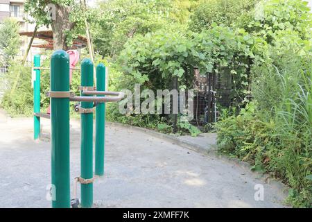 28 juillet 2024, quartier Shinjuku, Tokyo, Japon, installations de drainage dans un parc enchevêtré avec du lierre. Banque D'Images