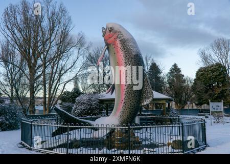 Adaminaby, Nouvelle-Galles du Sud, Australie, 28 juillet 2024 ; images tôt le matin de chutes de neige fraîches de nuit couvrant la grosse truite arc-en-ciel à Adaminaby. Crédit p.j.Hickox/Alamy Live News. Banque D'Images