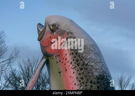 Adaminaby, Nouvelle-Galles du Sud, Australie, 28 juillet 2024 ; images tôt le matin de chutes de neige fraîches de nuit couvrant la grosse truite arc-en-ciel à Adaminaby. Crédit p.j.Hickox/Alamy Live News. Banque D'Images