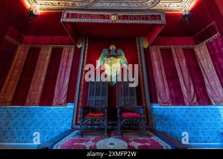 Alcazar de Segovia vue intérieure de la salle du trône. Gros plan de deux trônes, tuiles décoratives et murs rouges de velours avec écusson. À l'intérieur de Segovia Alcázar. Banque D'Images