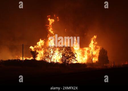 La photo montre des pompiers qui luttent contre les flammes le 26 juillet 2024 en Californie, aux États-Unis. Le plus grand incendie actif de Californie a explosé vendredi soir, augmentant rapidement au milieu d'un carburant sec et menaçant des milliers de maisons alors que les pompiers se précipitaient pour répondre au danger. L'intensité et la propagation rapide de l'incendie de Park ont conduit les responsables des incendies à faire des comparaisons indésirables avec le monstrueux incendie de Camp, qui a brûlé hors de contrôle dans Paradise voisin en 2018, tuant 85 personnes et incendiant 11 000 maisons. Plus de 130 structures ont été détruites par cet incendie jusqu'à présent, et des milliers d'autres restent Three Banque D'Images