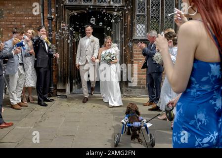 Mariage marié et marié avec les invités soufflant des bulles à mesure qu'ils émergent du bureau d'enregistrement. Angleterre, Royaume-Uni Banque D'Images