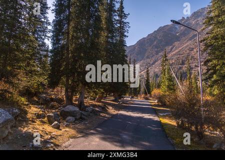 Le sentier de randonnée remontant la montagne dans le parc naturel d'Ala-Archa, Kirghizistan, avec des pins et des montagnes de Tian Shan autour. Banque D'Images