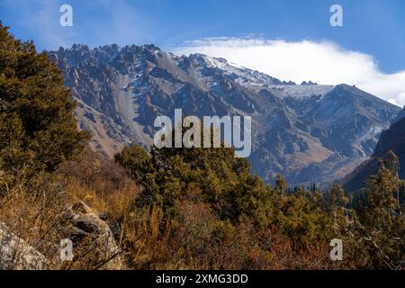 Les sommets enneigés et la forêt d'automne dans les montagnes kirghizes, parc naturel d'Ala-Archa, près de la ville de Bichkek. Banque D'Images