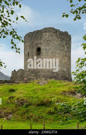 Château de Dolbadarn, Llanberis, Gwynedd, Pays de Galles Banque D'Images