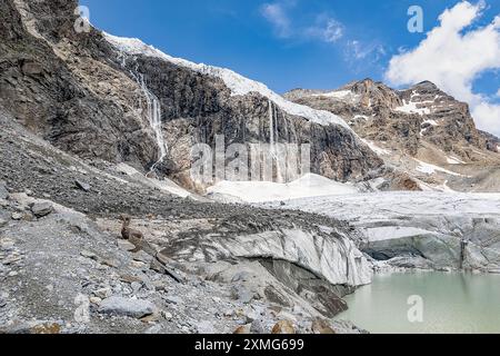 La grande beauté, bouillon alpin mâle avec glacier Fellaria sur fond, paysage italien (bouillon Capra) Banque D'Images